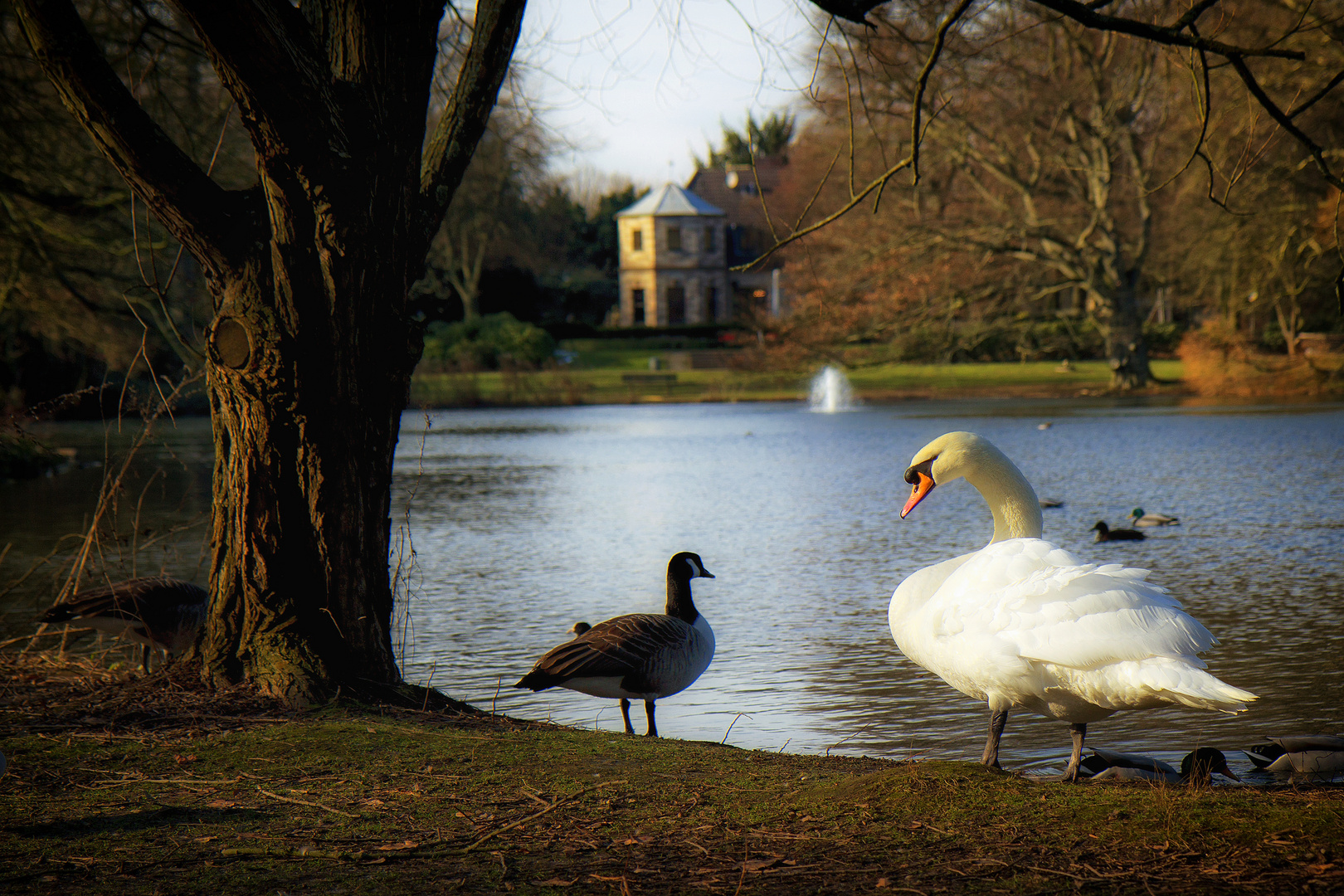 2013_1432b Lohengrin II