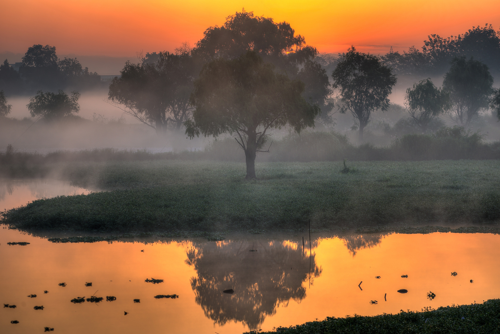 2013_Oct_04 Pingyao Wetlands