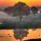 2013_Oct_04 Pingyao Wetlands