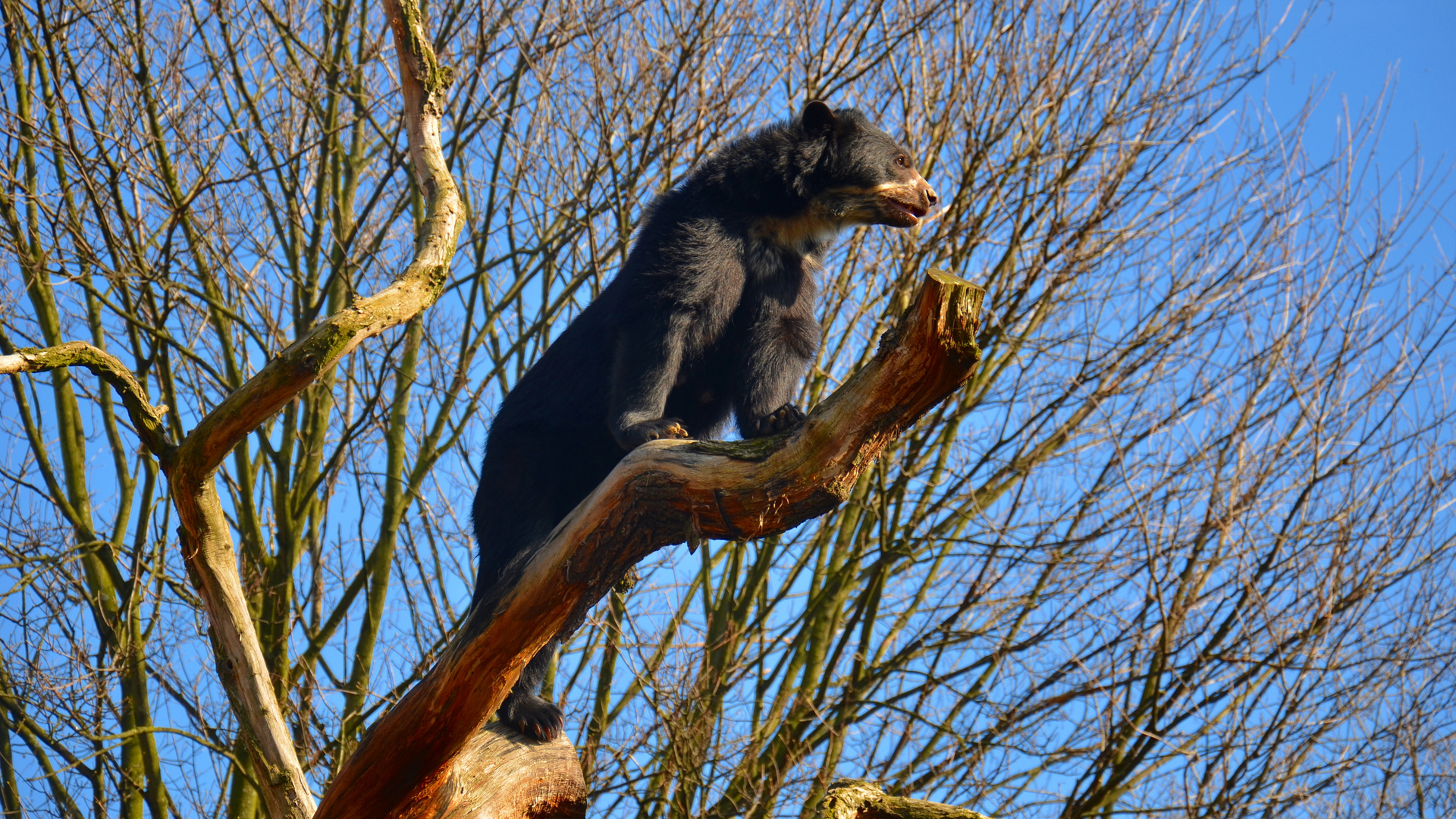 2014-03-08 Duisburger Zoo