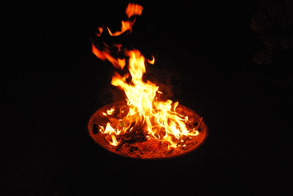 2014-08-23 030 Foto & Bild | archiv projekte naturchannel