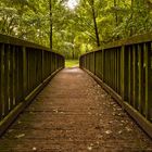 2014-08-23-bridge-in-green