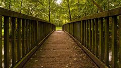 2014-08-23-bridge-in-green