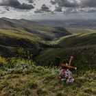 2014 11 Südafrika Fahrt nach Swellendam