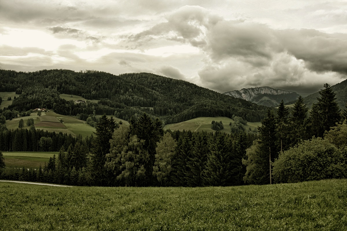 2014 war ein grüner Sommer