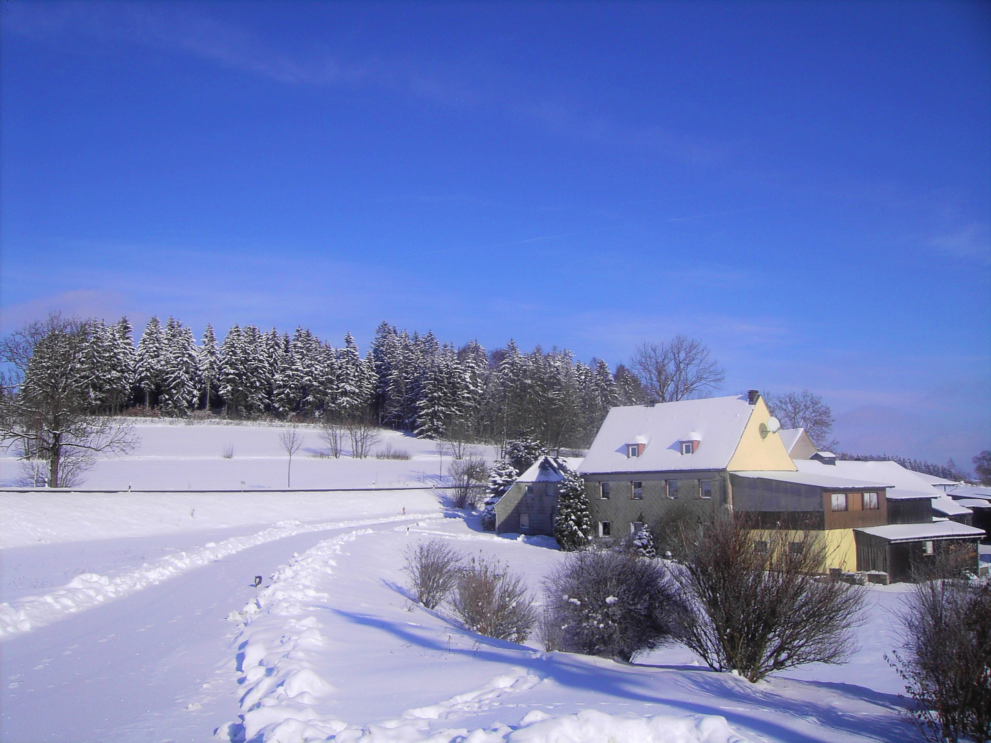 20140319  ARCHIV 19. März 2014 Katze auf schneebedeckter Straße