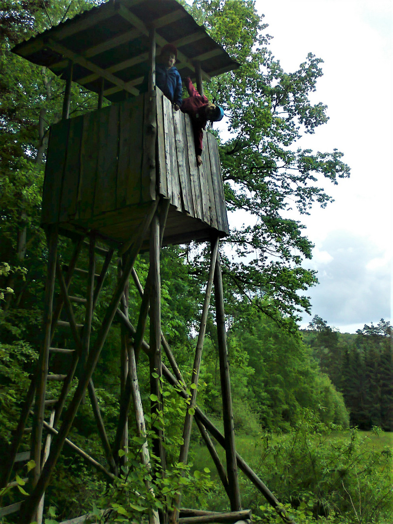 20140415  ARCHIV  Waldlehrpfad Ellenberg  :Opa schocken