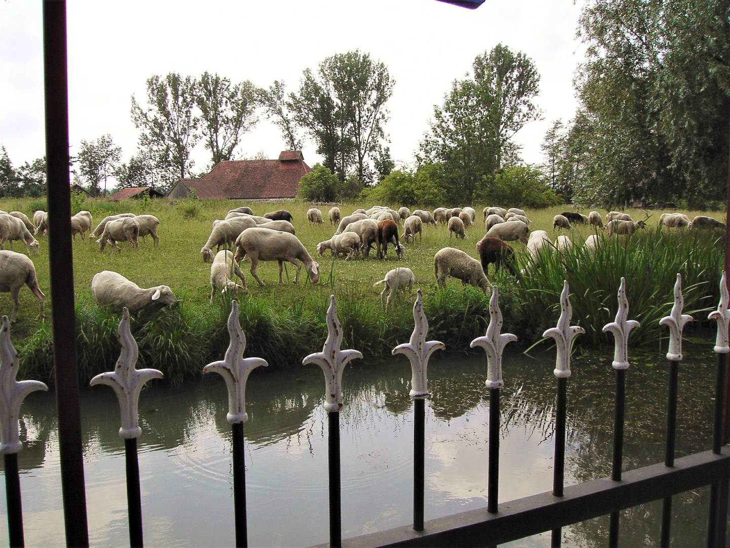 20140724 Freilandmuseum Bad Windsheim