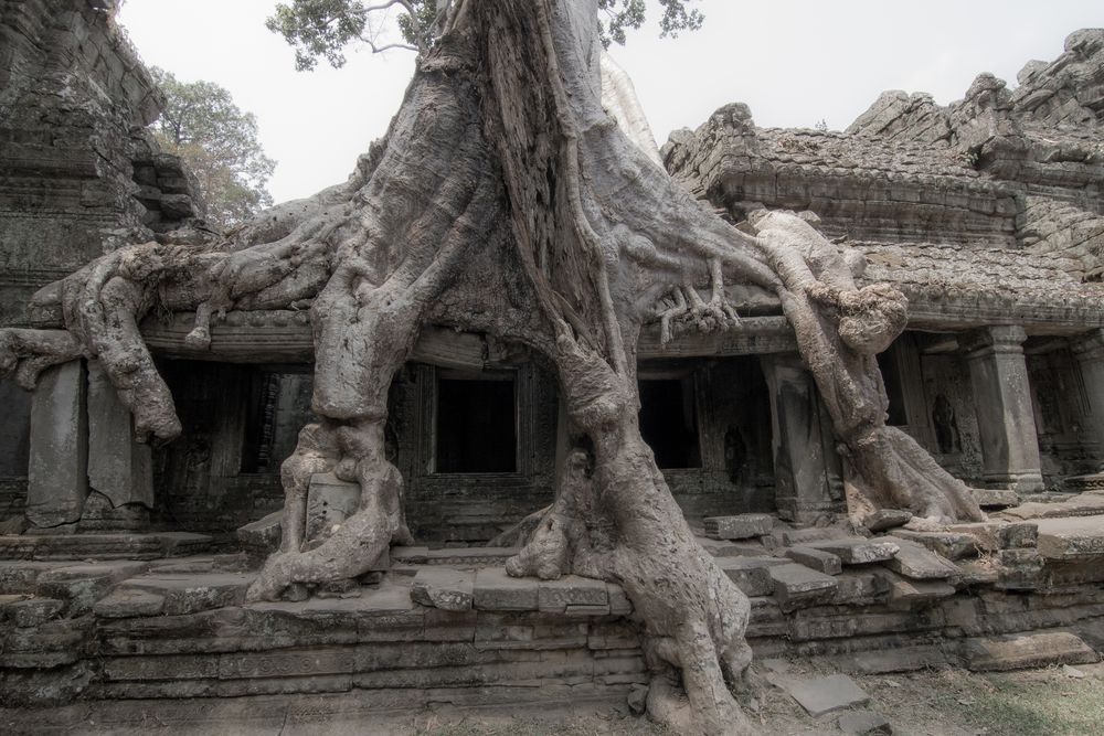 2014_5626 Ta Prohm (Kambodscha)