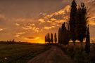 Aurora in val d'orcia  di Mario Ventura