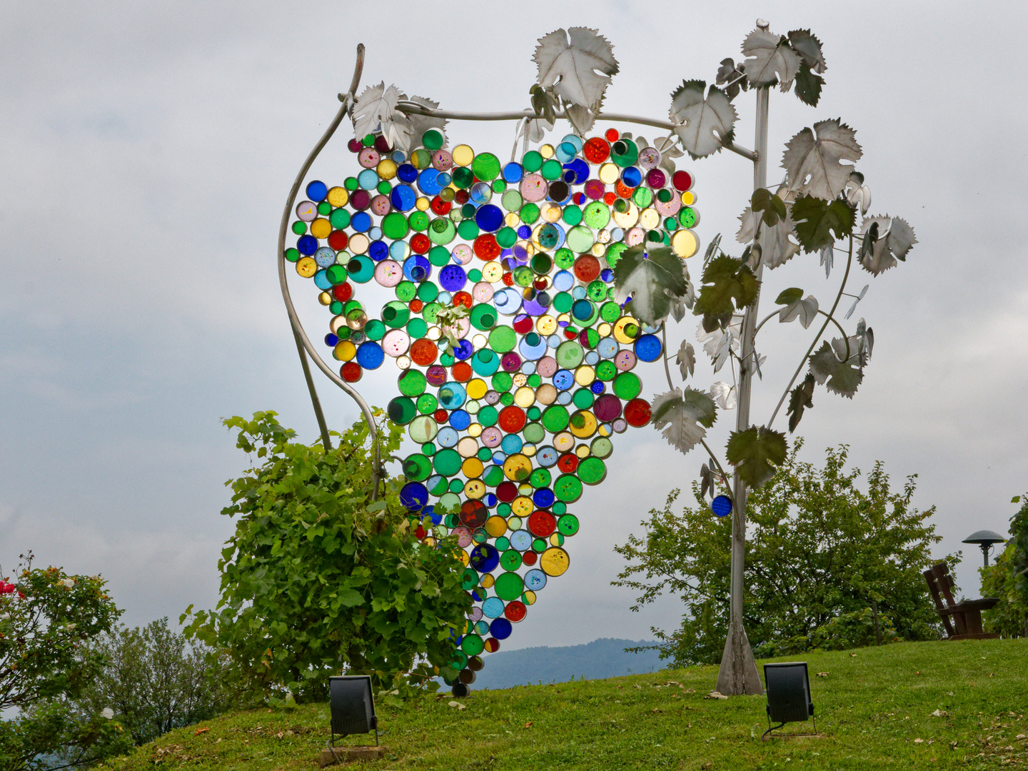 2014_Südsteiermark-Die größte Weintraube der Welt_3627