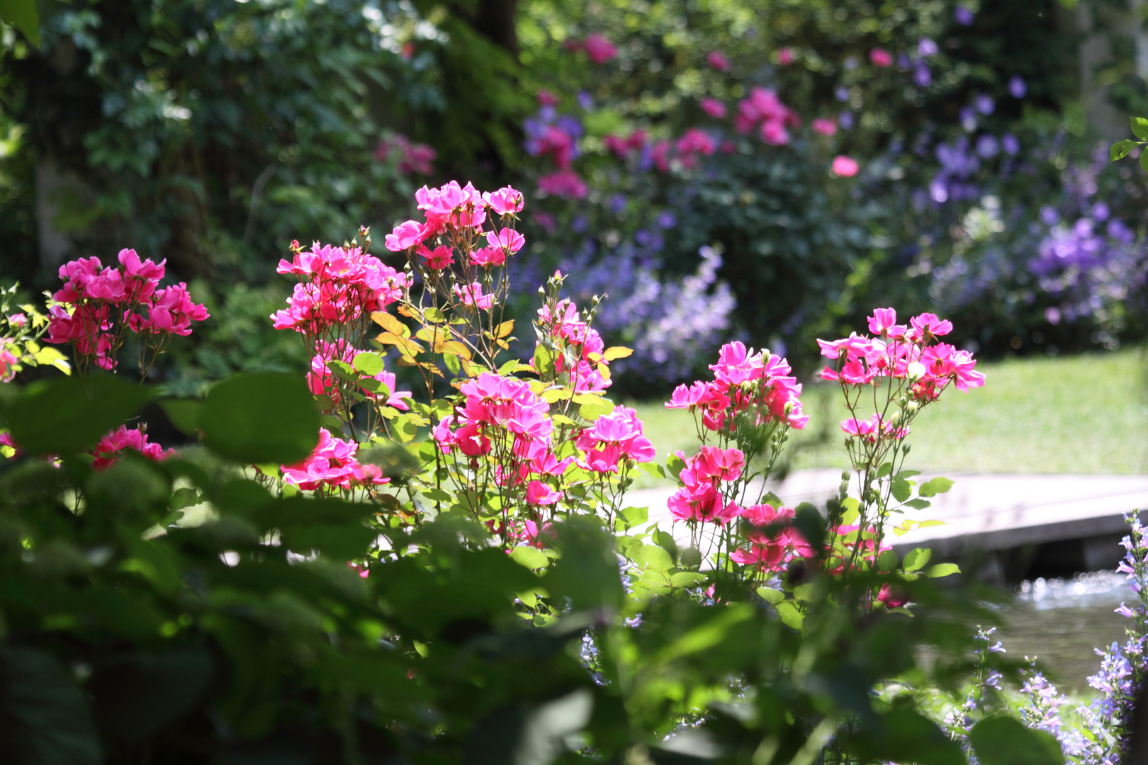 2015-06-07 Rosenfest in Ettenbühl