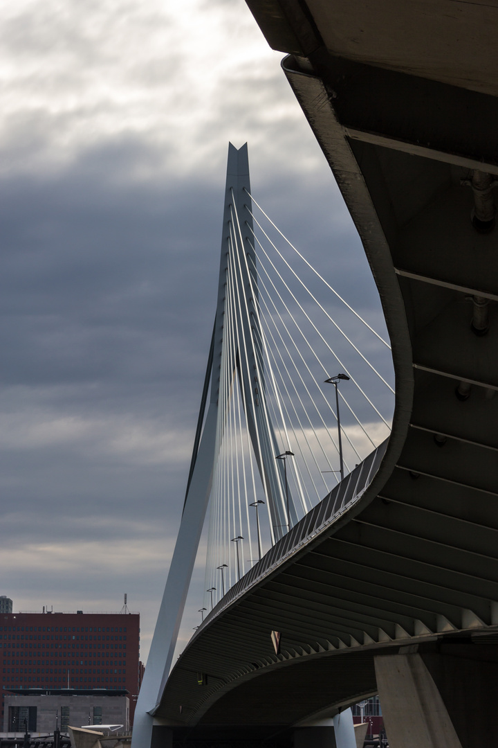 2015 09 11 Ersasmusbrücke Rotterdam