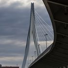 2015 09 11 Ersasmusbrücke Rotterdam