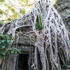 2015 Ta Prohm_04