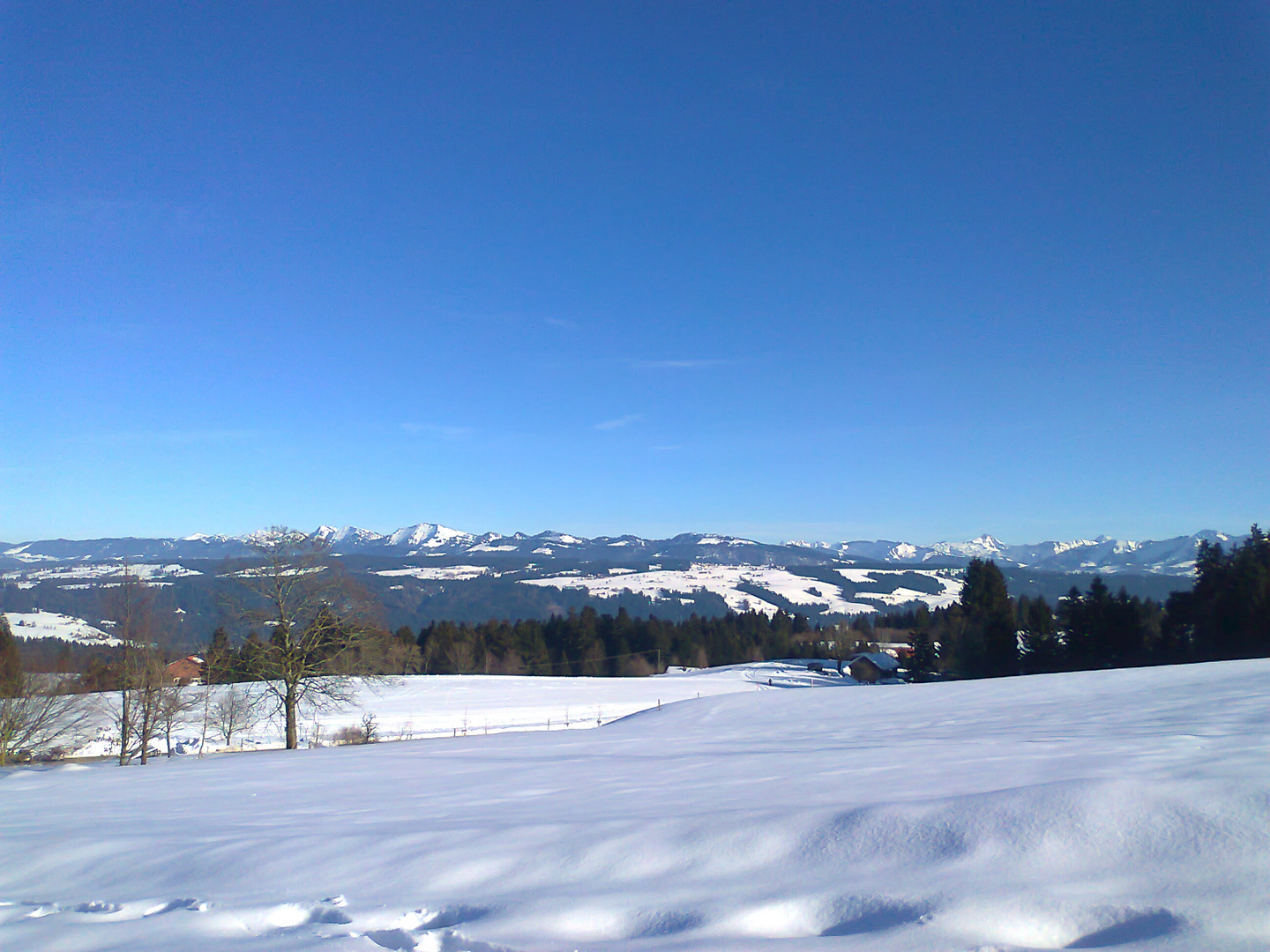 20150307 Scheidegg Blick vom Skywalk in die Alpen