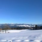 20150307 Scheidegg Blick vom Skywalk in die Alpen