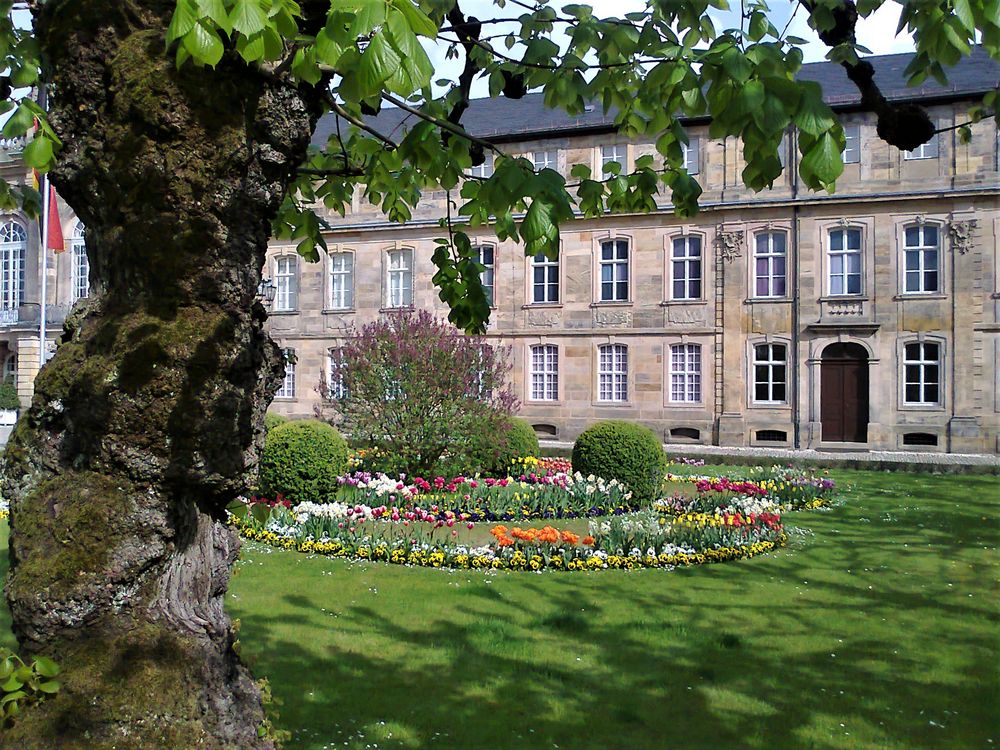 20150502  ARCHIV :    Alter Baum vorm Neuen Schloss in Bayreuth