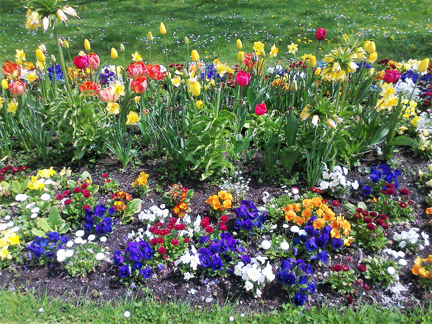 20150502  Archiv :  Bayreuth Blumenstreifen bis in die Innenstadt