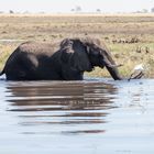 2015_07 zu Wasser, zu Lande und in der Luft