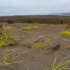 20150731_RundreiseIsland_0283