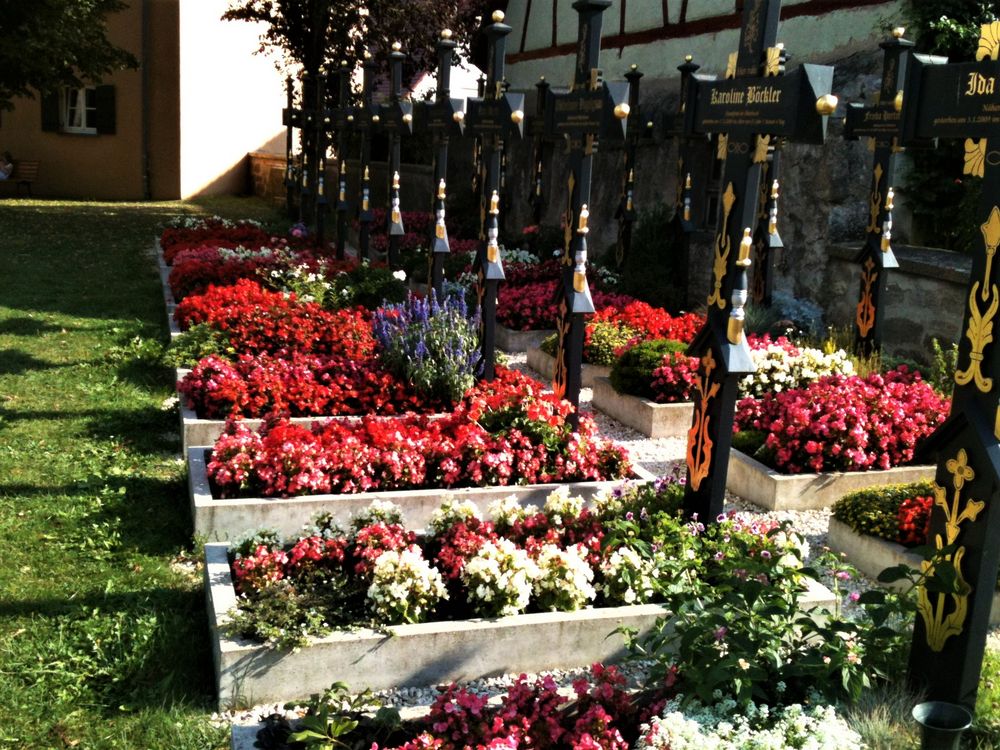 20150831 Mittwochsblümchen Friedhof Segringen Ortsteil Dinkelsbühl