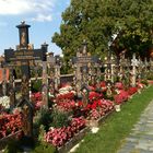 20150831 Mittwochsblümchen Friedhof Segringen Ortsteil Dinkelsbühl  II