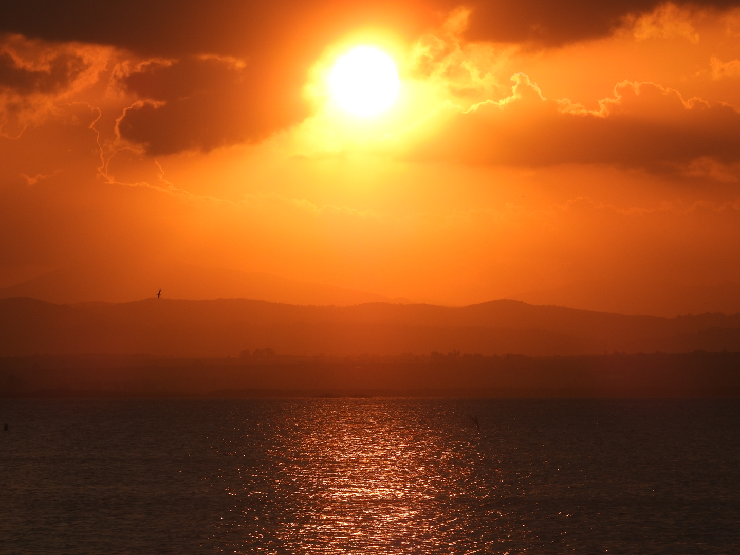 2016 09 28 LA ALBUFERA (128)