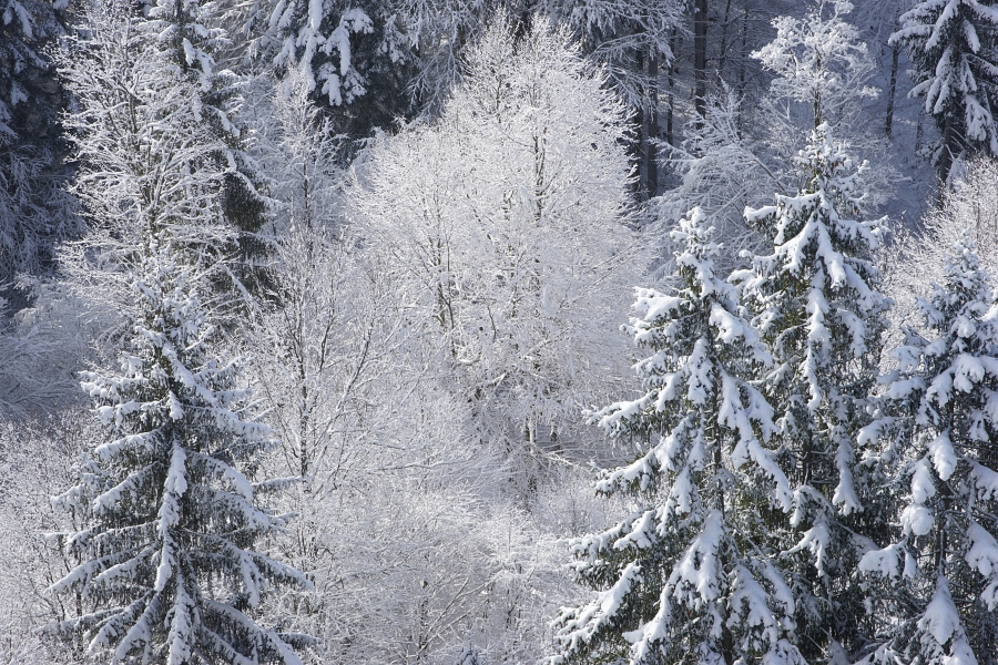 2016 Allgäu 2