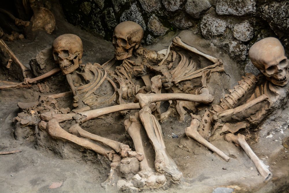 2016 die weltberühmten Skelette aus einem der Bootshäuser in Herculaneum