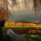 2016-Februar, Am Flugplatz, zwischen Bensheim und Schwanheim