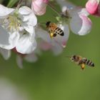 2016 - Flugsicherung meldet Stau - AF