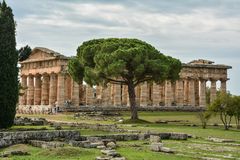 2016 Paestum - Seitenansicht des Poseidontempels