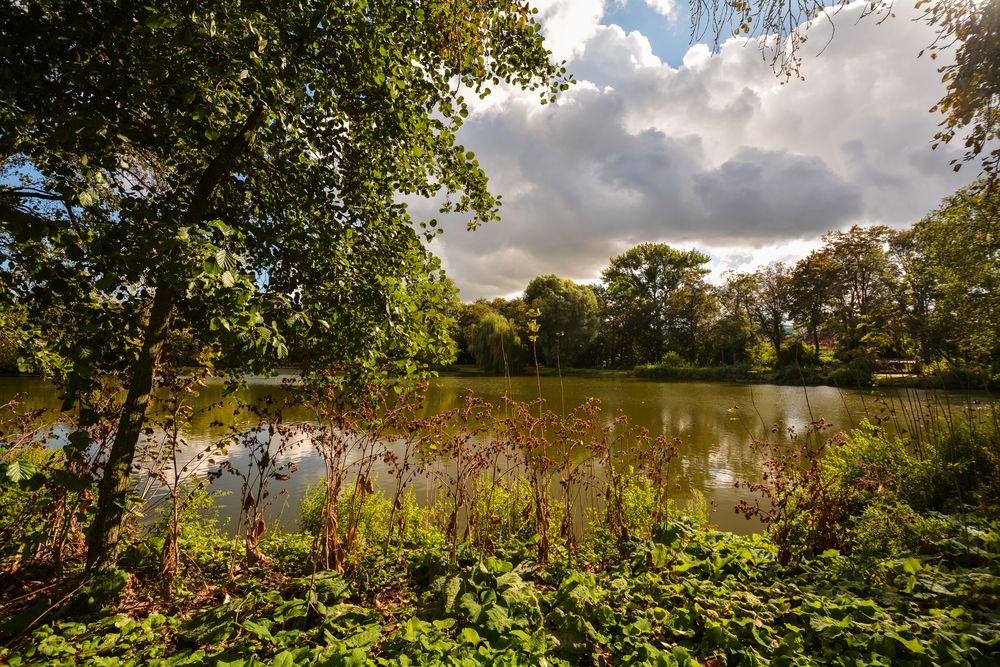 2016 Sonniger Oktobertag im Frankfurter Ostpark