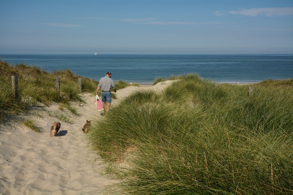 2016 Sylt - auf dem Weg zum Hundestrand