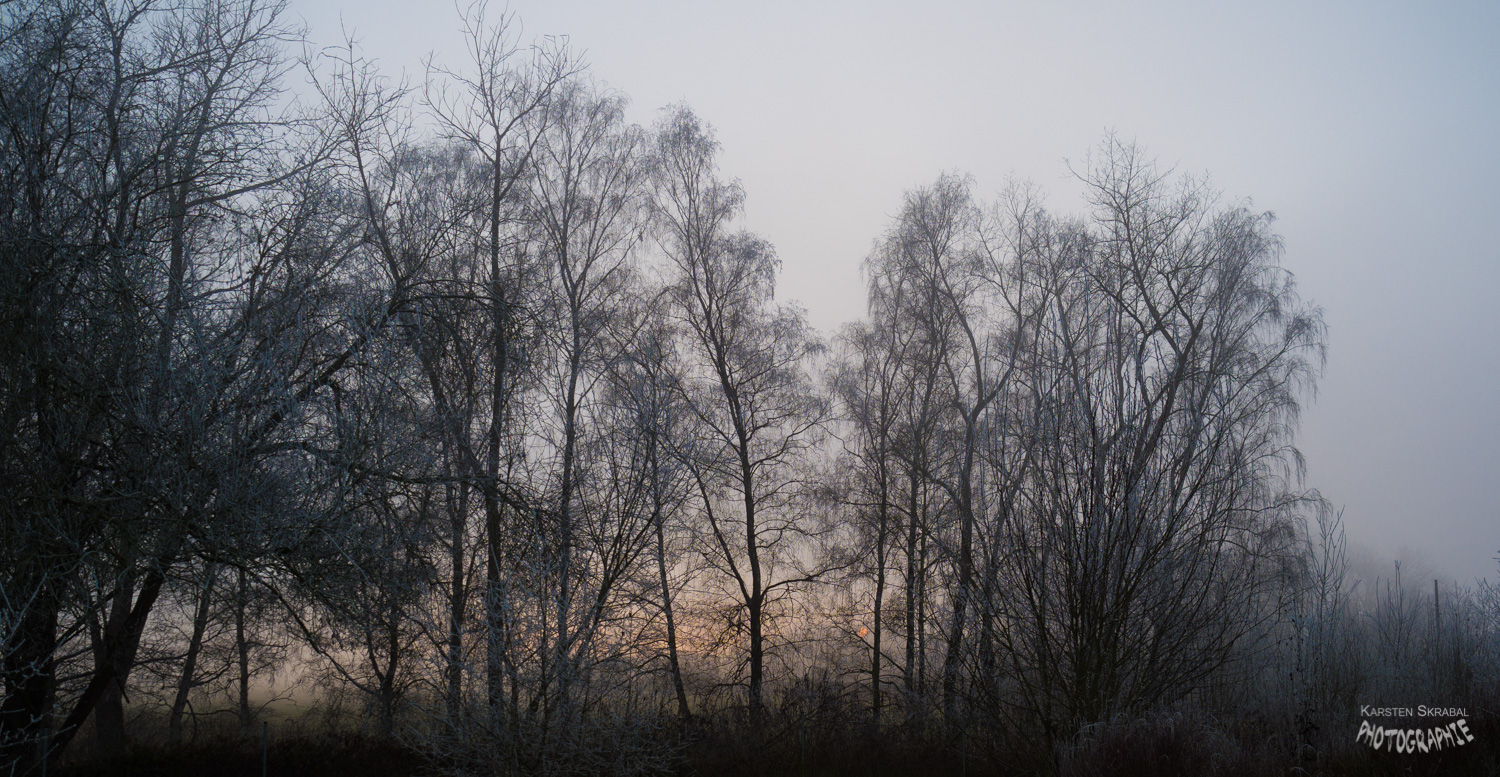 2016 verschwindet im Nebel