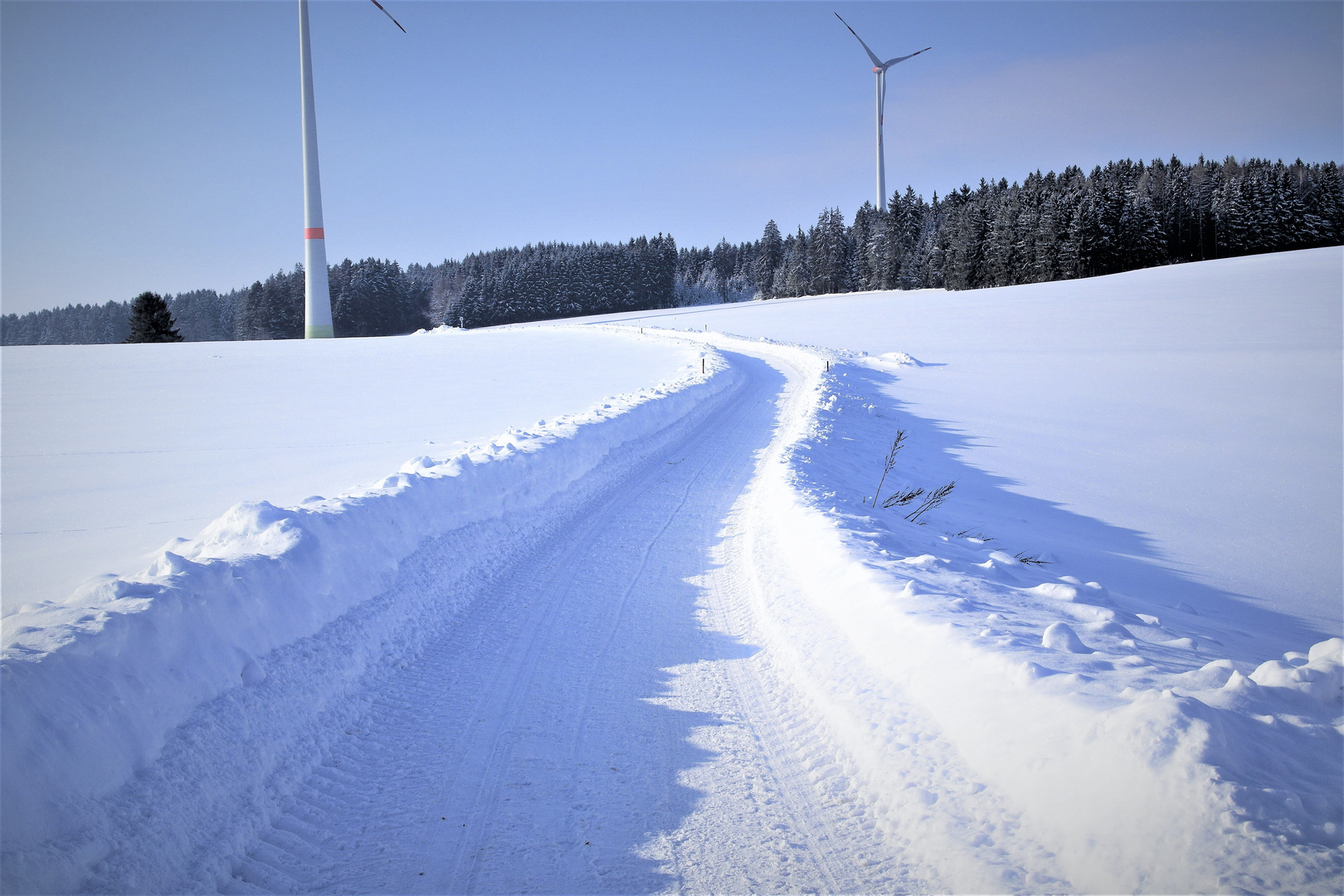 2016 Weg ins weiße Paradies