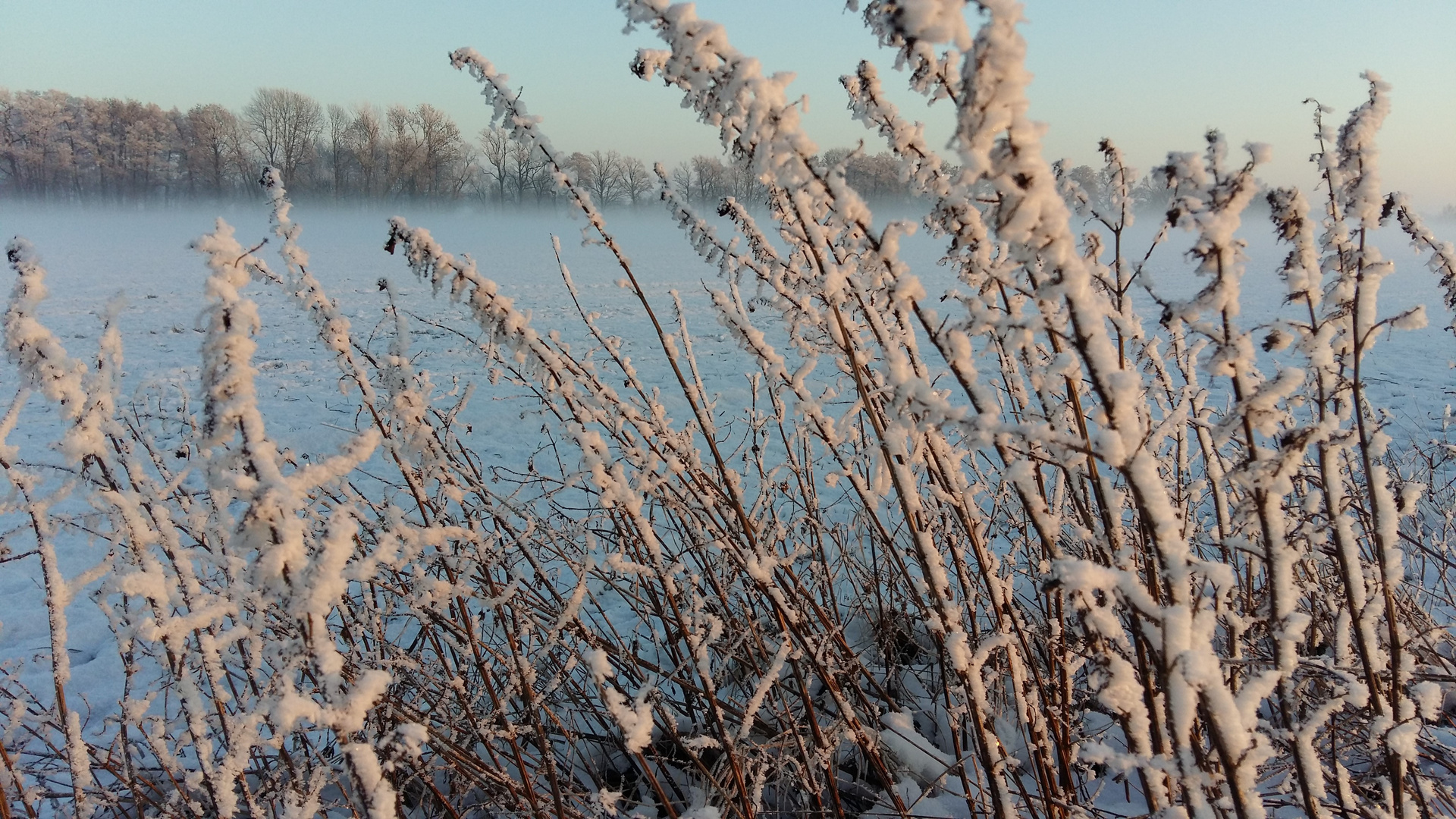 20160208 Winteridyll in klirrender Kälte