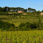 2016_05_21_Provence_DSC_5151