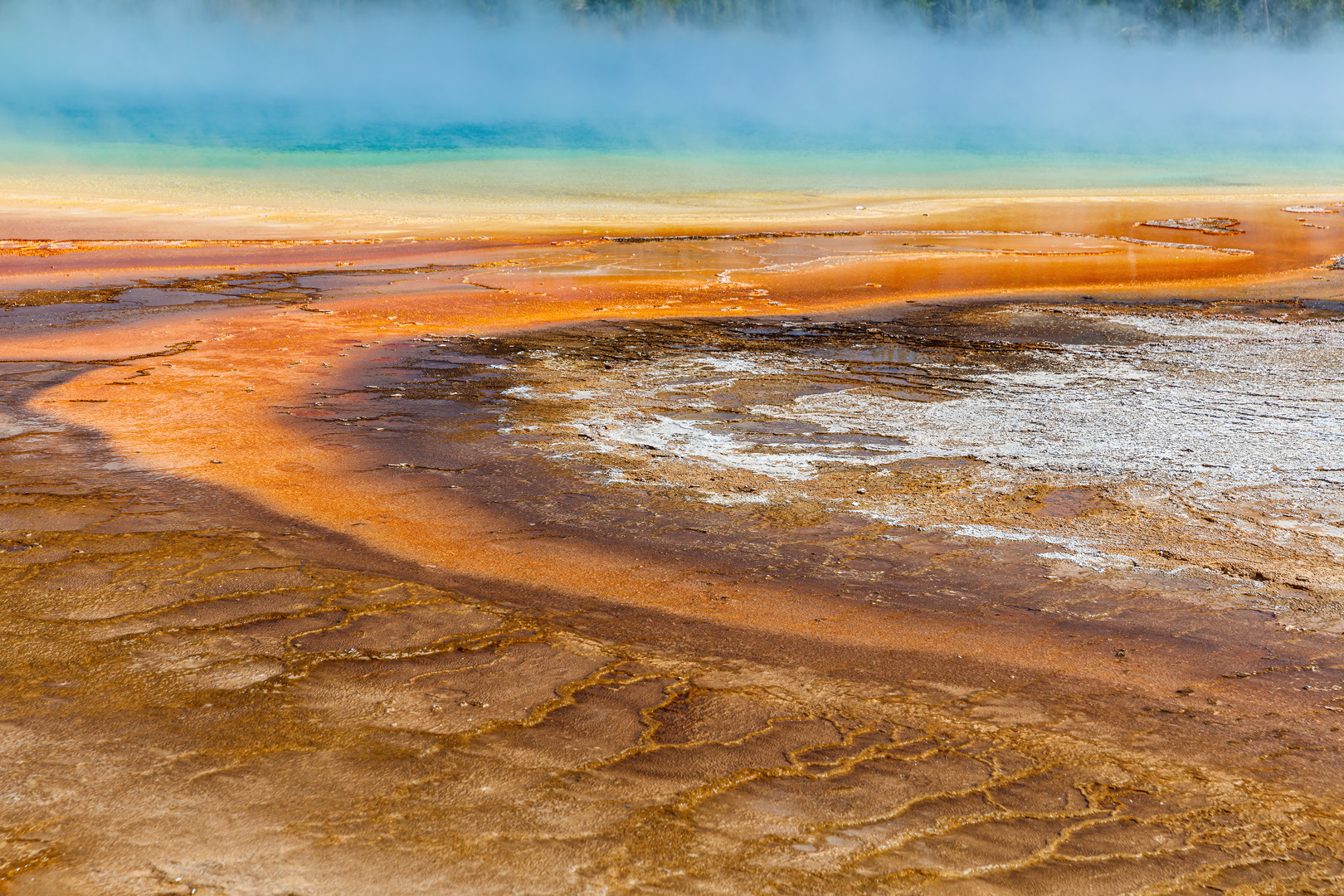 20160715USA Yellowstone NP (HP) 0042 Kopie