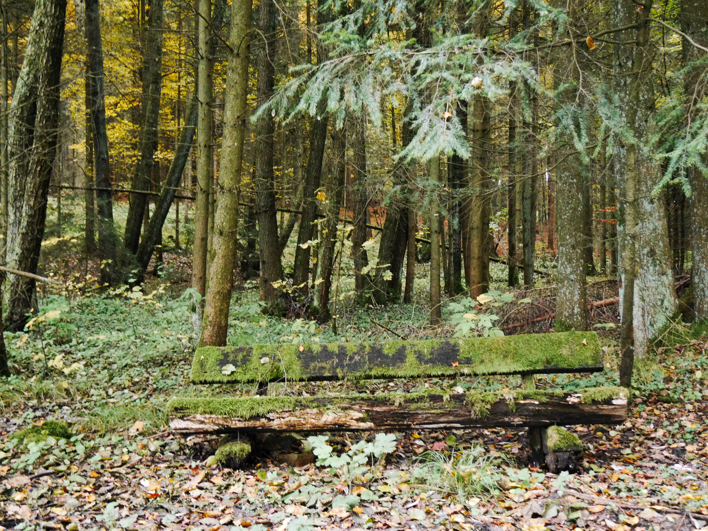 2016.10.30 Wanderung Glatzenstein Hersbruck 044