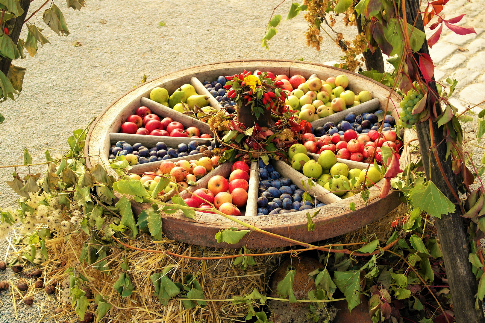 20161115 Obstausstellung Freilandmuseum Bad Windsheim