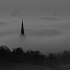 201612_Rebland im Nebel_003