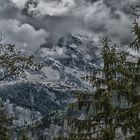 2016_9174 Jungfrau