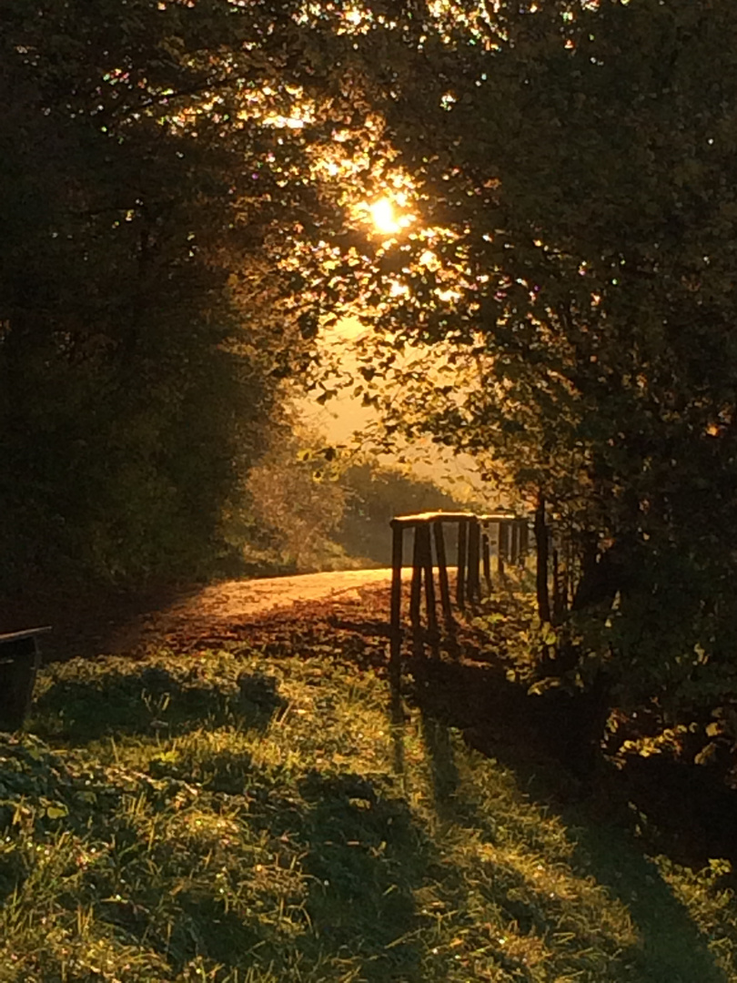 2016_Ende eines Herbsttages