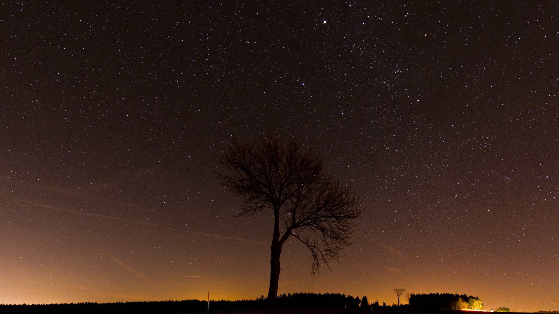 2017-01-01-single-tree-in-starry-sky