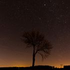 2017-01-01-single-tree-in-starry-sky