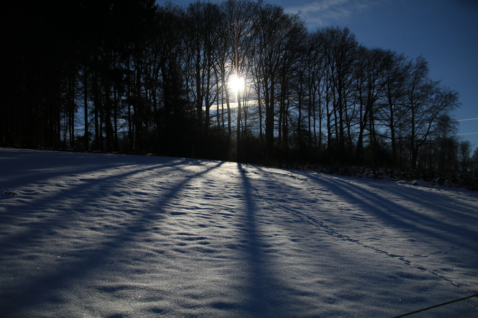 2017-01-21 Winter im Bergischen