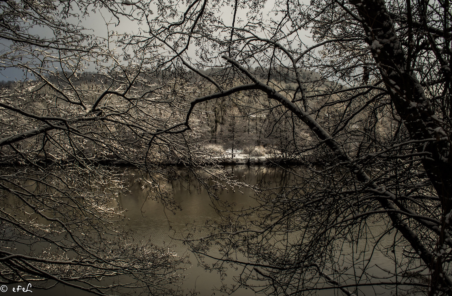 2017-01-arbre-neige--12 - copie