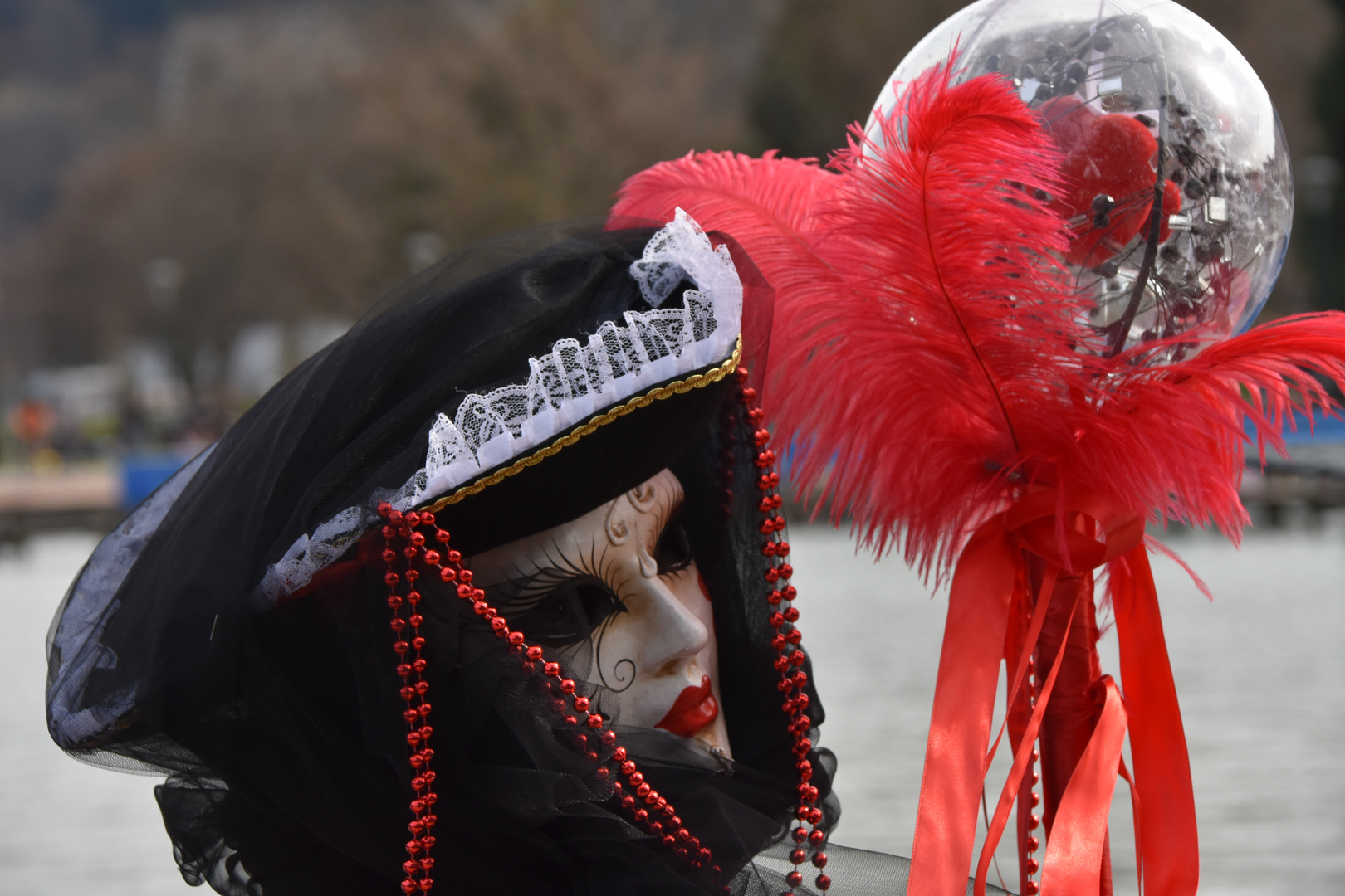 2017 03 12 CARNAVAL ANNECY-424